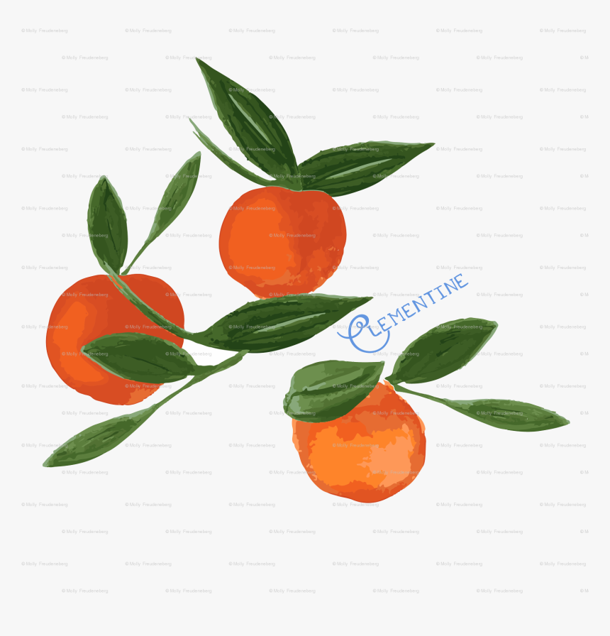 Clementine Clip Art, HD Png Download, Free Download