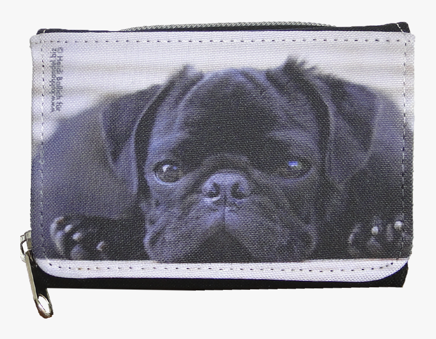 Pug, HD Png Download, Free Download