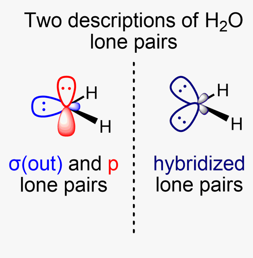 H2o Lone Pairs Two Descriptions - H2o Lone Pairs, HD Png Download, Free Download