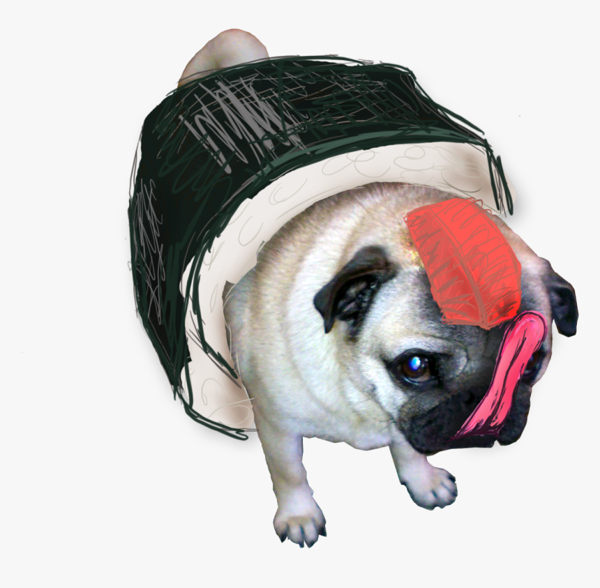 Transparent Pugs Drawn Sushi Pug - Sushi Pug, HD Png Download, Free Download