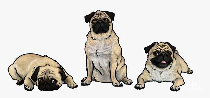 Three Little Pugs, HD Png Download, Free Download