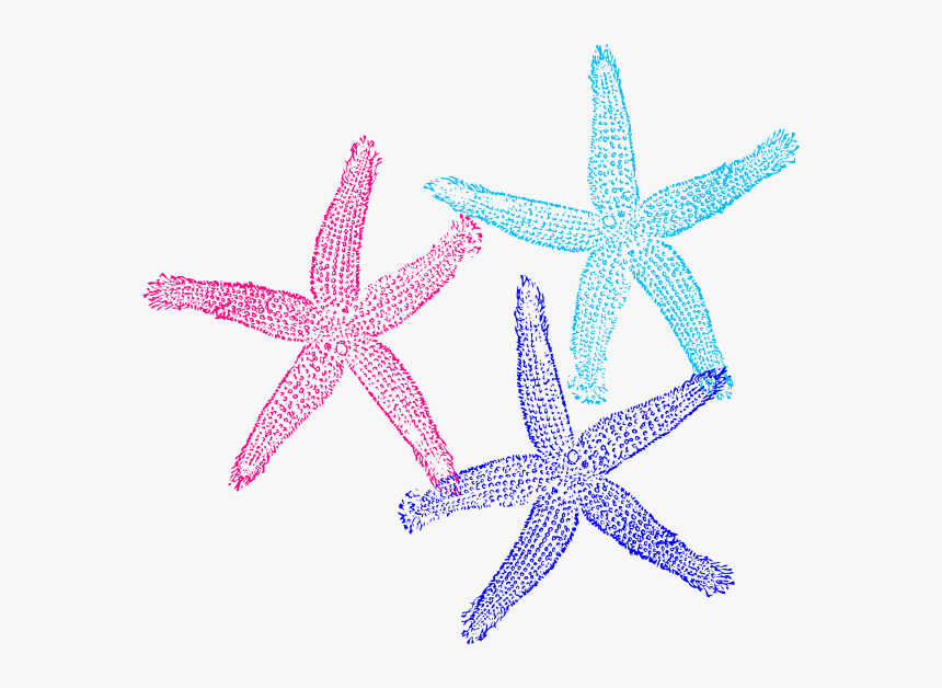 Starfish Clipart Colorful Triple - Transparent Background Mermaid Png Clipart, Png Download, Free Download