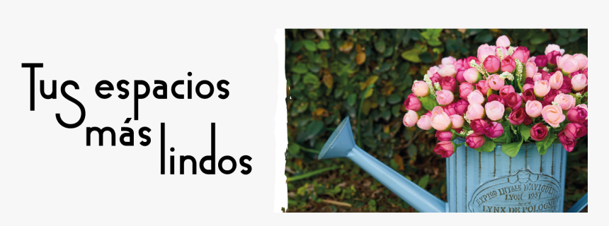 Reloj De Chapa Color Con Soga Para Ver Reloj De Chapa - Watering Can, HD Png Download, Free Download