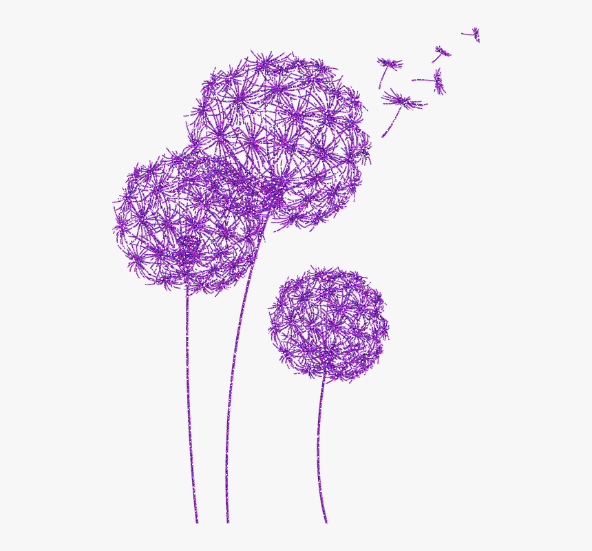 Dandelions, Purple Glitter, Dandelion Flower - Drawing, HD Png Download, Free Download