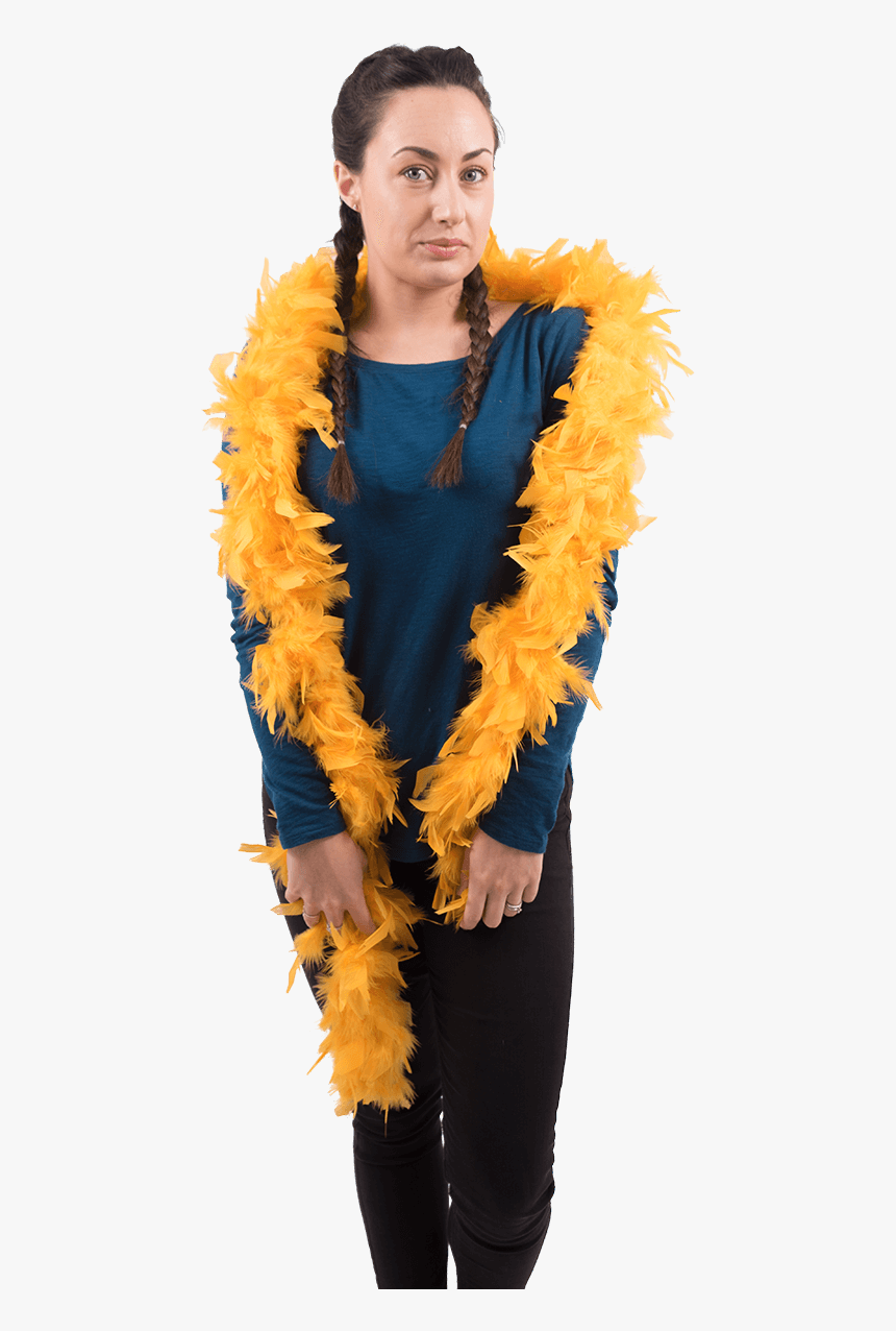 Transparent Feather Boa Png - Costume, Png Download, Free Download