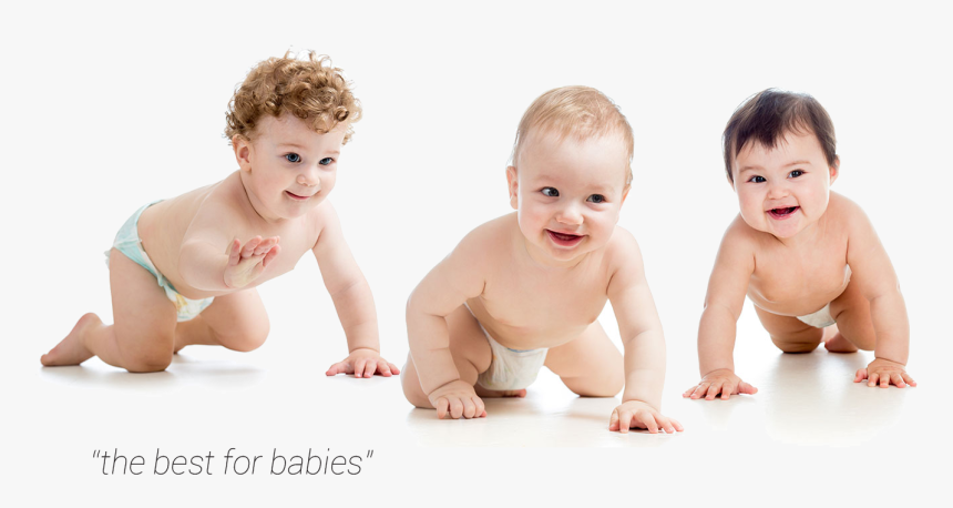 Transparent Baby Crawling Png - Child's Temperament, Png Download, Free Download