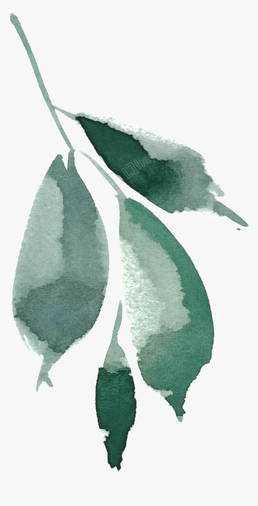 Green Drawing Watercolor - Sketch, HD Png Download, Free Download