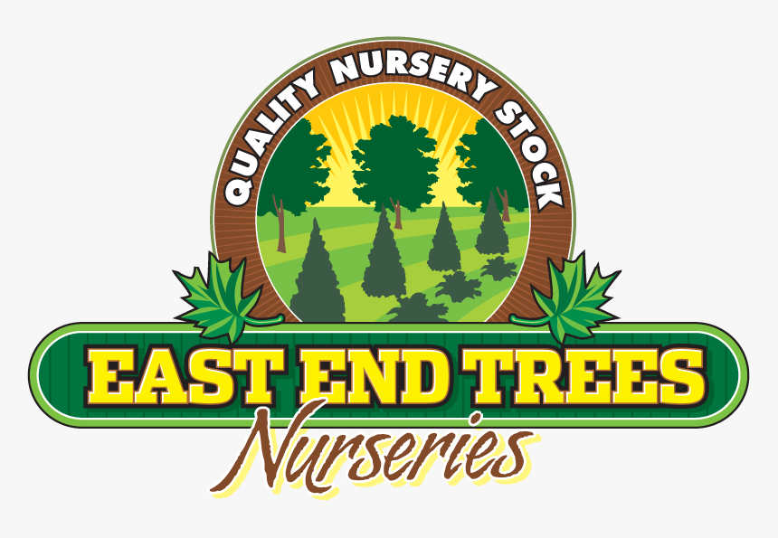 East End Trees - Illustration, HD Png Download, Free Download