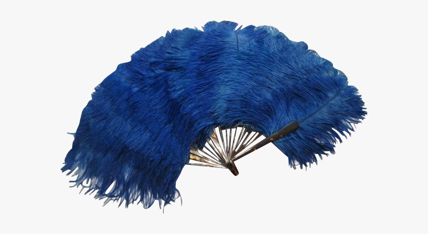 Ostrich Feather Fan Transparent Background, HD Png Download, Free Download