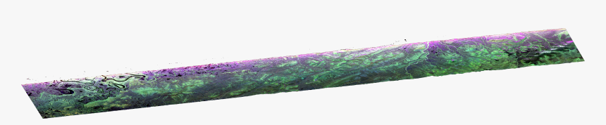 Feather Boa Png, Transparent Png, Free Download