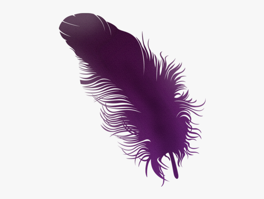 Thumb Image - Plumas De Colores Png, Transparent Png, Free Download