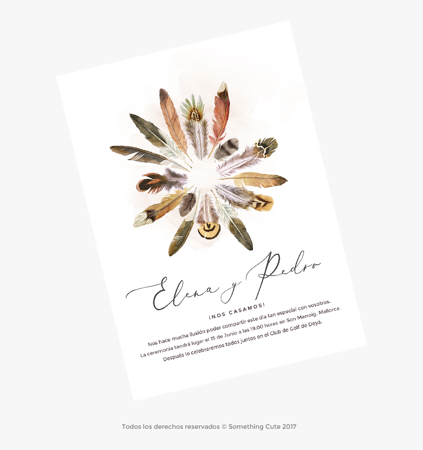 Transparent Plumas Png - Flyer, Png Download, Free Download