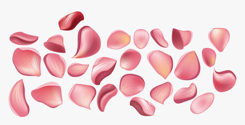 Clip Art Rose Petals Drawing - Drawing Of Rose Petals, HD Png Download, Free Download