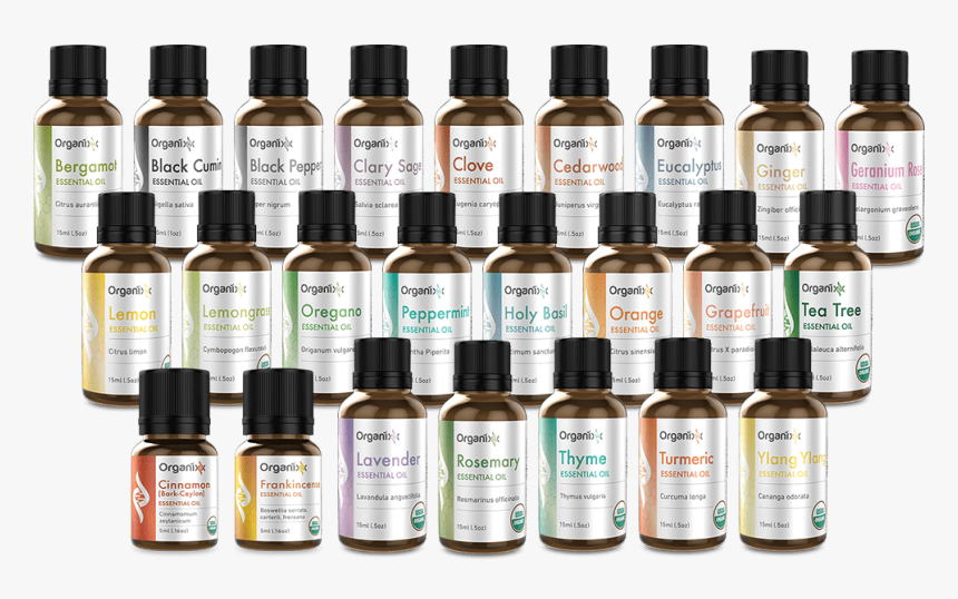 Transparent Essential Oil Bottle Png - Essential Oils Philippines Price, Png Download, Free Download