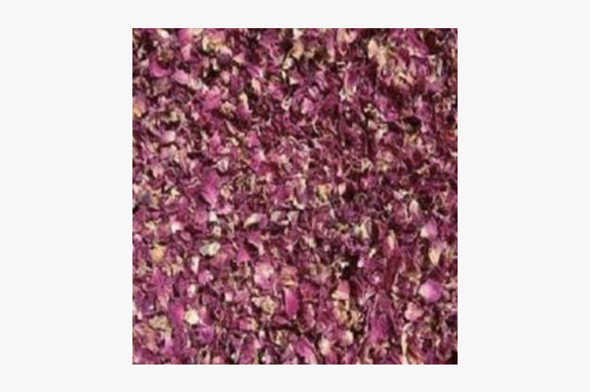 Dried Rose Petals - Dried Pink Rose Petal, HD Png Download, Free Download