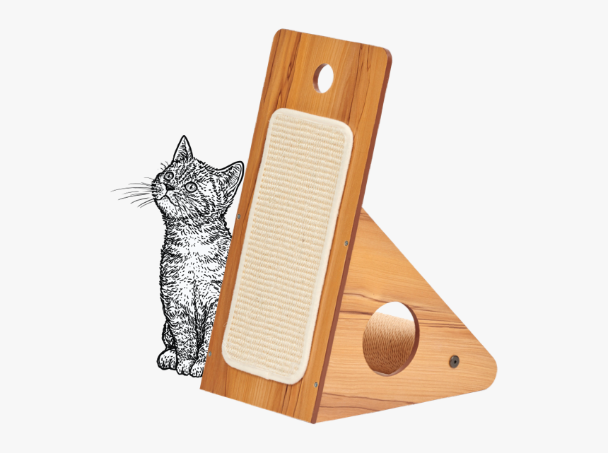 Transparent Christmas Cat Png - Plywood, Png Download, Free Download