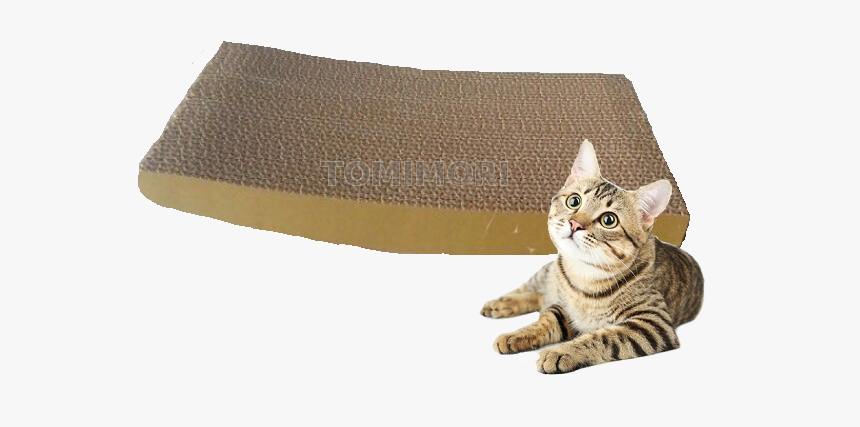 Corrugated Cardboard Seesaw Cat Scratch, HD Png Download, Free Download