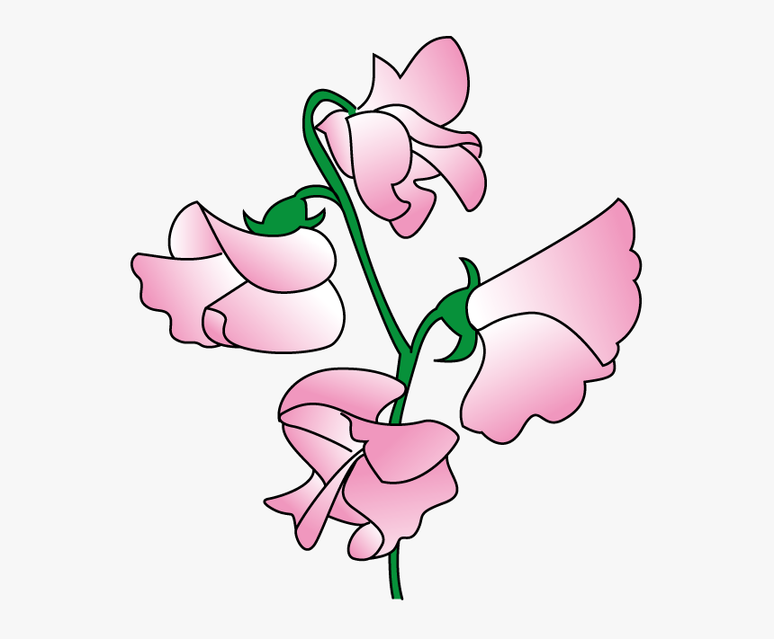 Sweet Pea Flower Clip Art, HD Png Download, Free Download