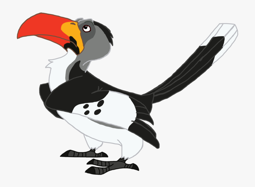 Hornbill, HD Png Download, Free Download