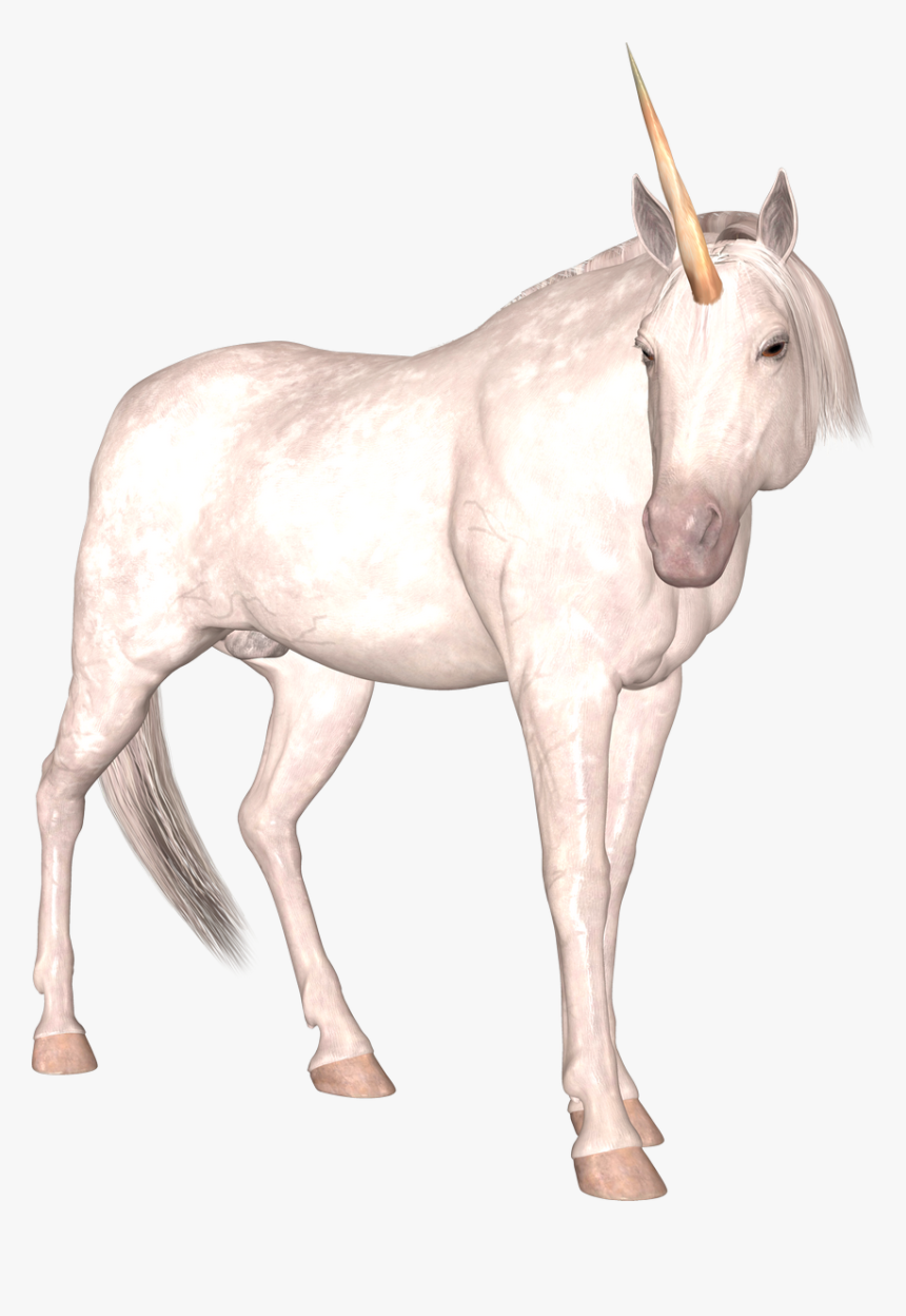 Unicorn, HD Png Download, Free Download