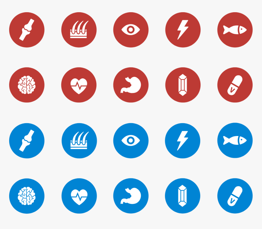 Icons Created For Baie Run Pet Products Detail Pages - Circle, HD Png Download, Free Download