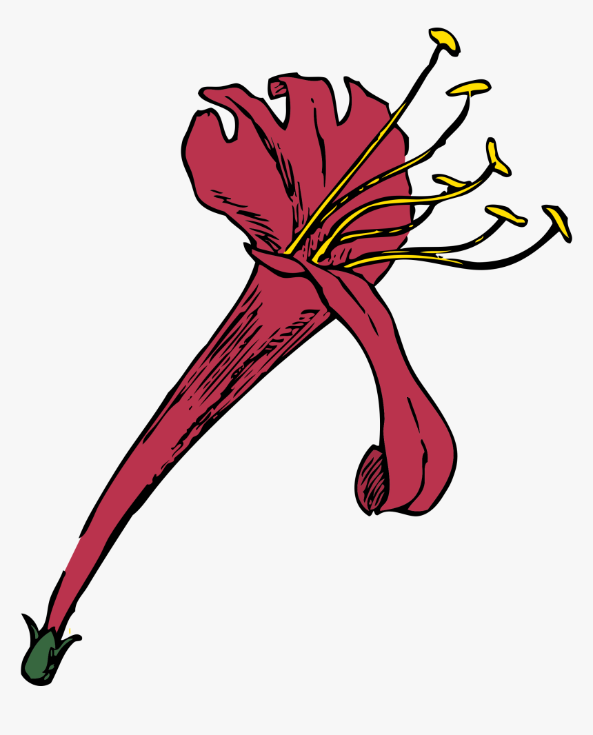 Honeysuckle Flower Clipart, HD Png Download, Free Download