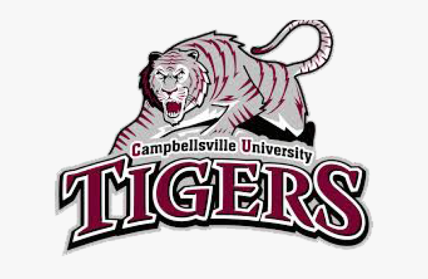 Transparent Tigers Clipart - Campbellsville University Football Logo, HD Png Download, Free Download