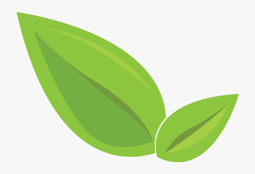 Leaf Icon - Transparent Leaf Icon, HD Png Download, Free Download