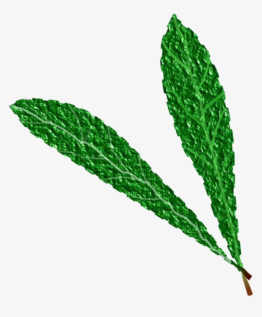 Green Leaves, Textured Clip Arts - Leaf, HD Png Download, Free Download