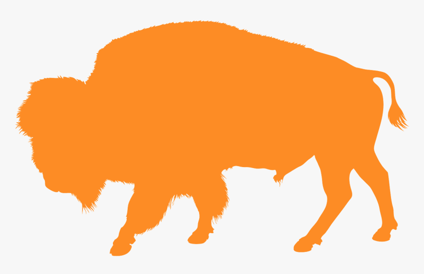 Blue Buffalo Silhouette, HD Png Download, Free Download