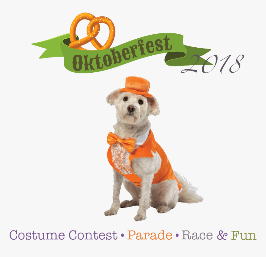 Join Us For The Oktoberfest Wiener Dog Costume And - Dumb And Dumber Dog Costume, HD Png Download, Free Download