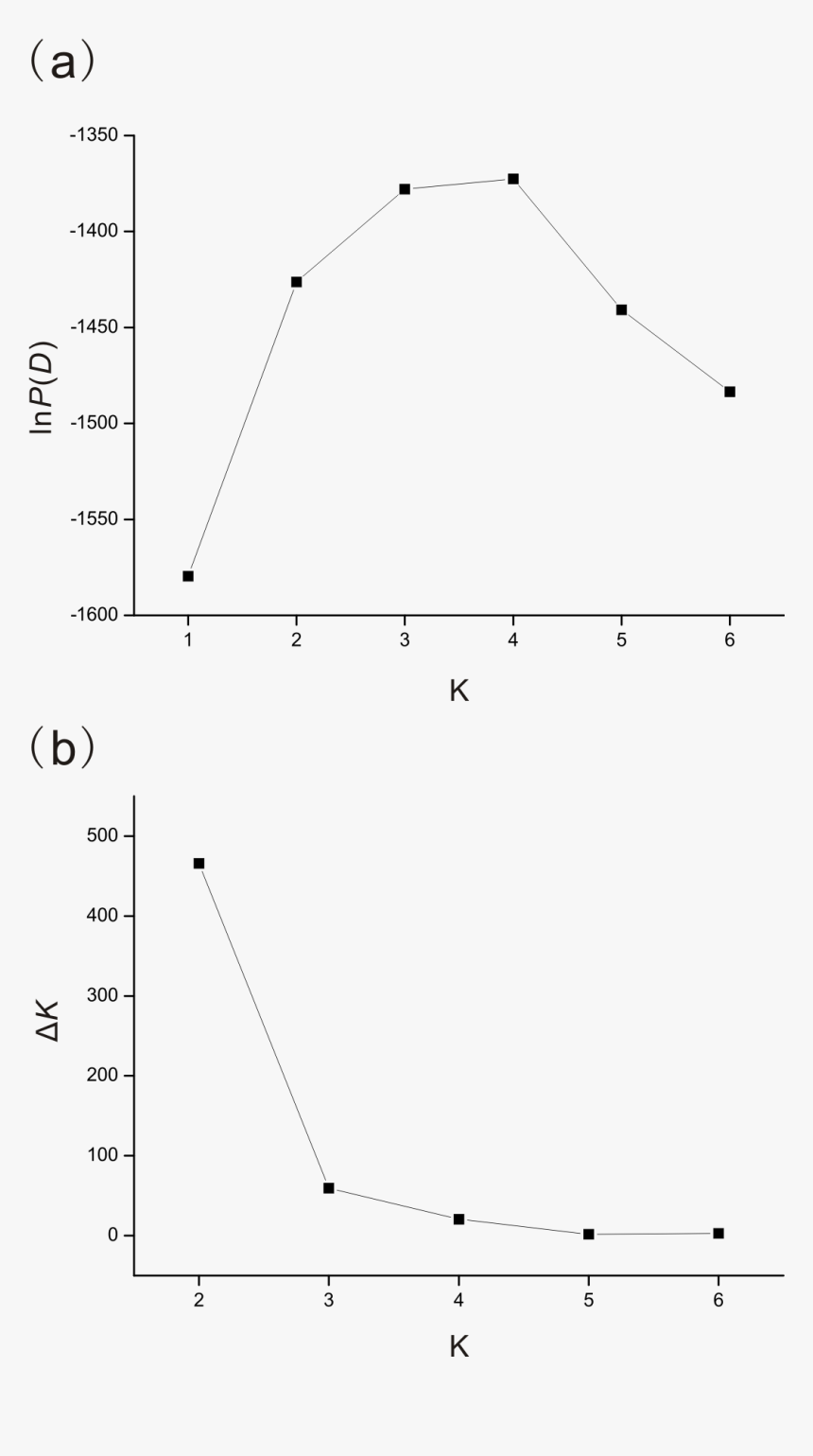 Diagram, HD Png Download, Free Download