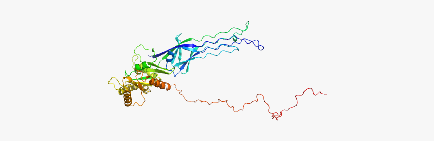 Gtpase Obge/cgta Eom/ranch Model"
				title="load 3d - Map, HD Png Download, Free Download