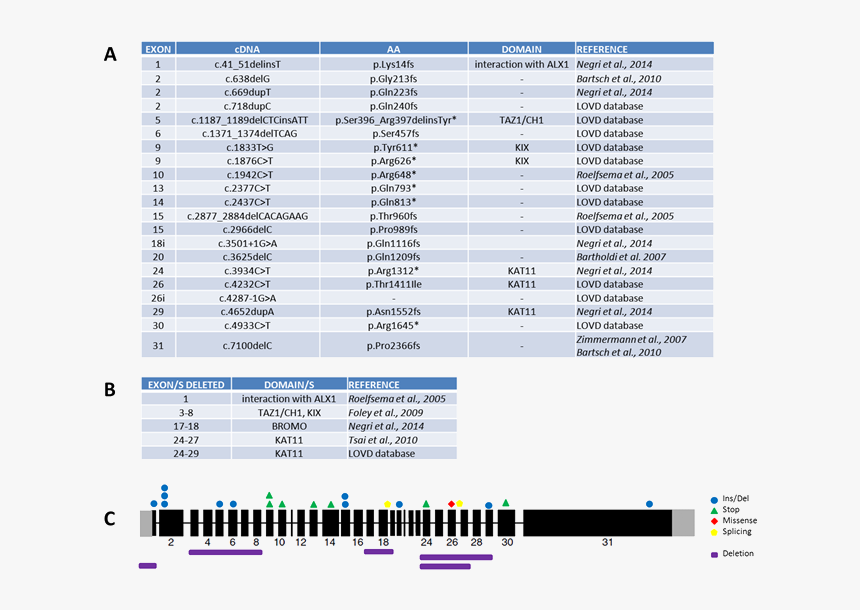 Screenshot, HD Png Download, Free Download