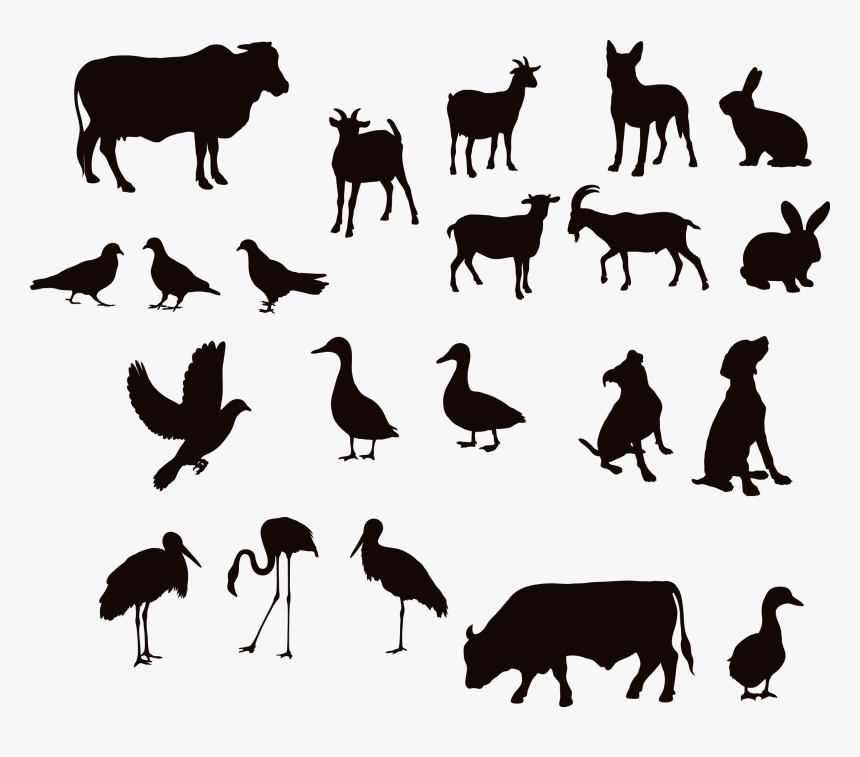 Cattle Water Buffalo Silhouette Duck - Silhouettes Animals Design, HD Png Download, Free Download