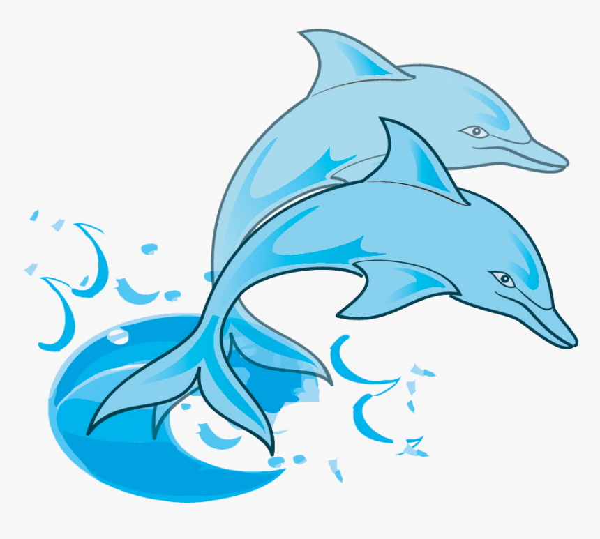 Transparent Dolphin Png - Dolphins Clipart Png, Png Download, Free Download