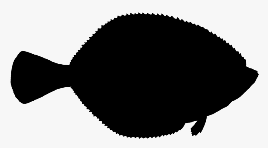 Fish Clipart Silhouette Flatfish Atlantic Halibut - Sole, HD Png Download, Free Download