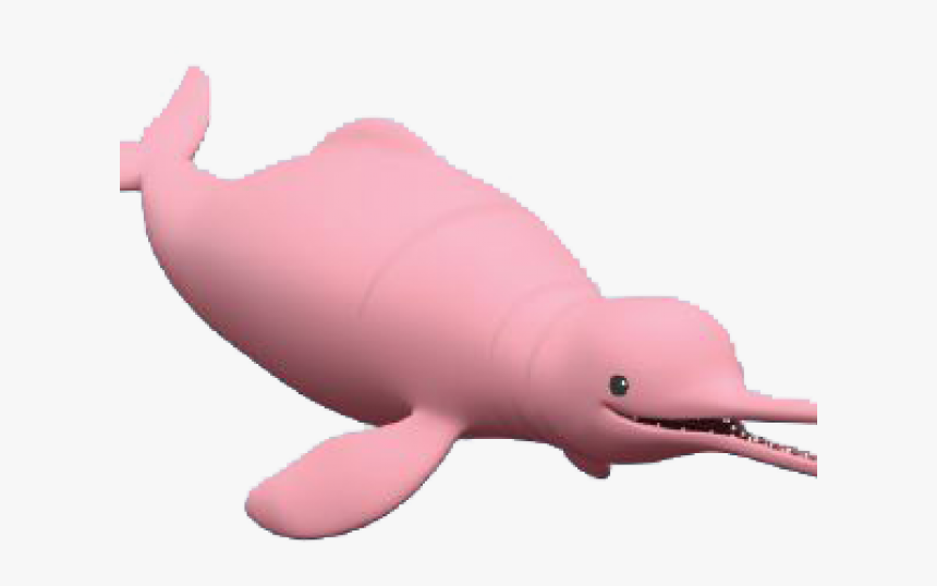 Dolphines Clipart Pink Dolphin - Catfish Octonauts, HD Png Download, Free Download