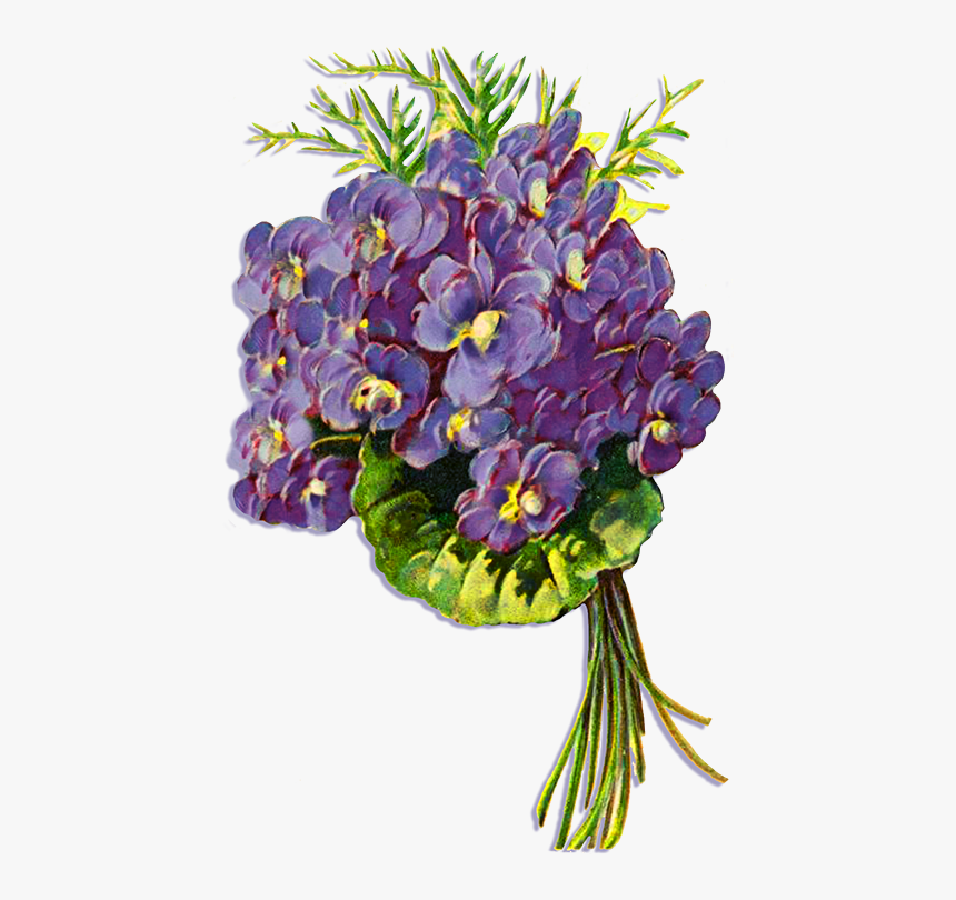 Flower Clipart Transparent Background - Blue Violets Transparent Background, HD Png Download, Free Download