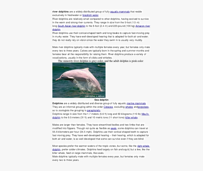 Indo Pacific Humpback Dolphin, HD Png Download, Free Download