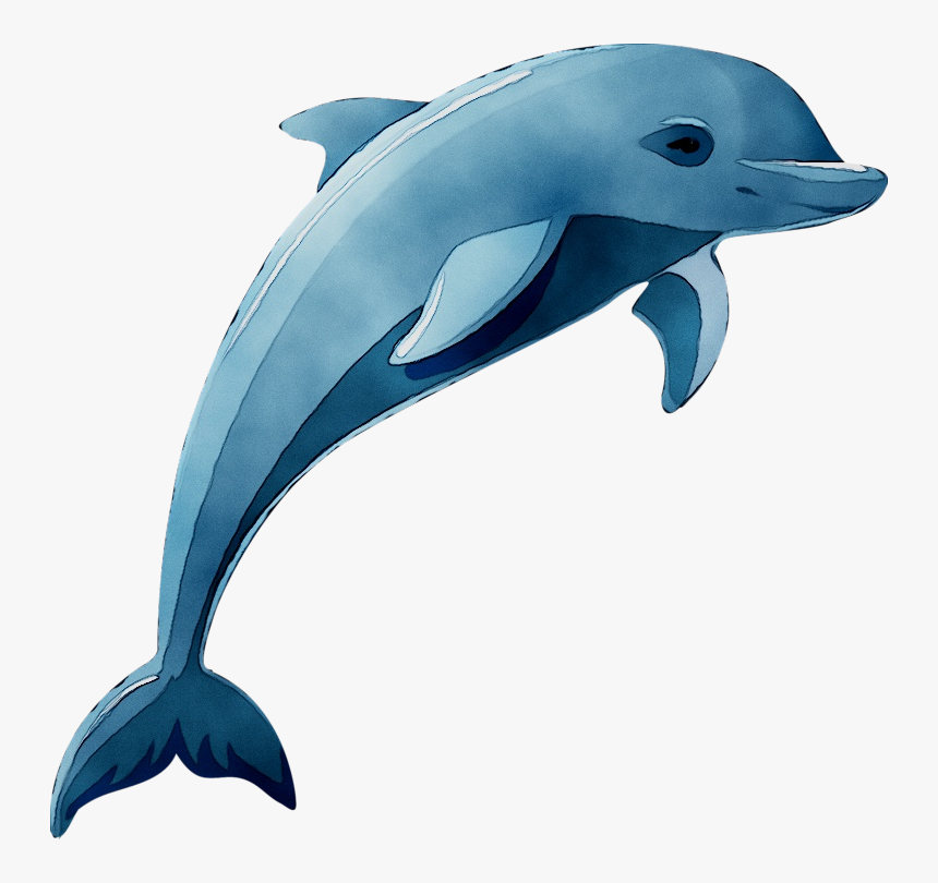 Dolphin Vector Graphics Clip Art Drawing Cartoon - Dolphin Jumping Out Of Water Clipart, HD Png Download, Free Download