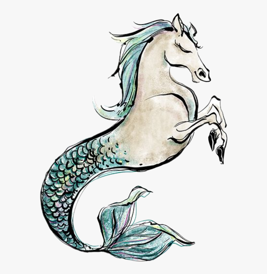 #watercolor #seahorse #mermaid #merman #horse #clipart - Illustration, HD Png Download, Free Download