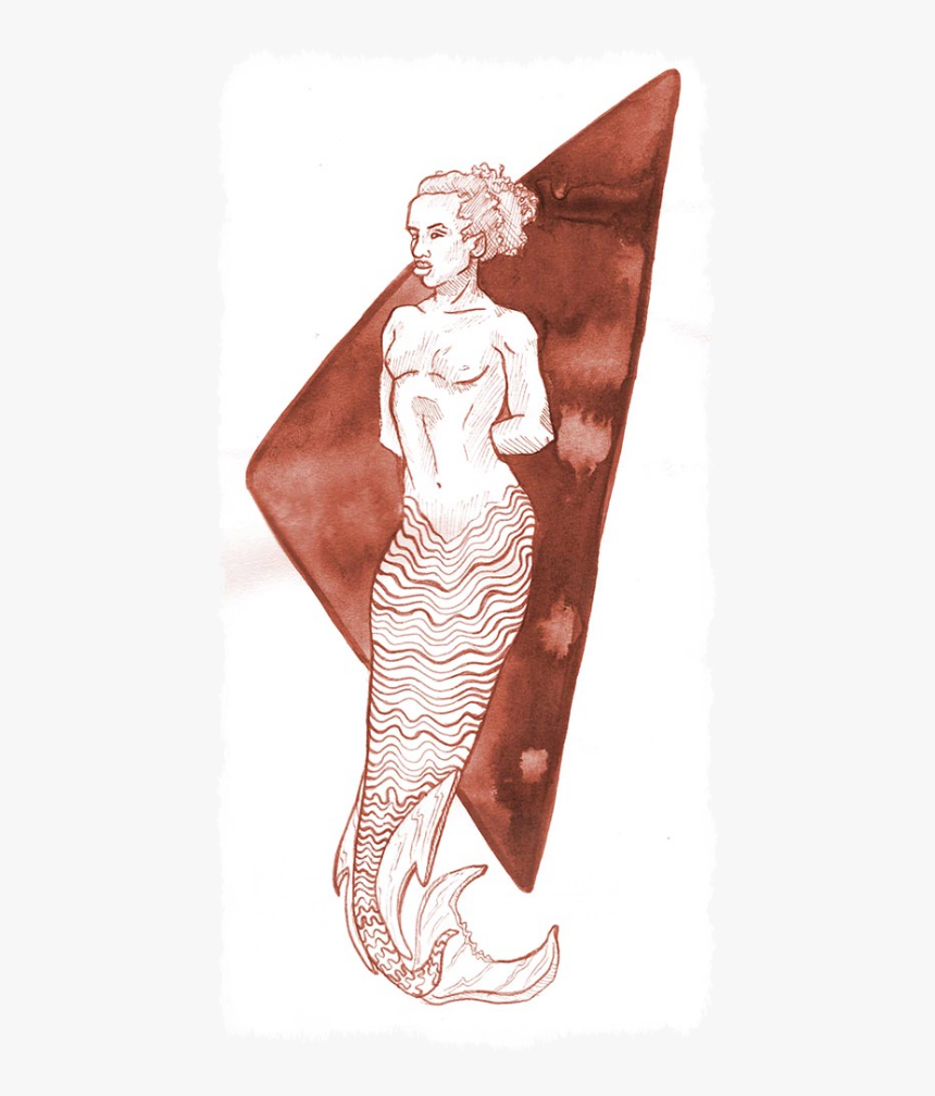 Mermaid Standing In Front Of A Board - Sketch, HD Png Download, Free Download