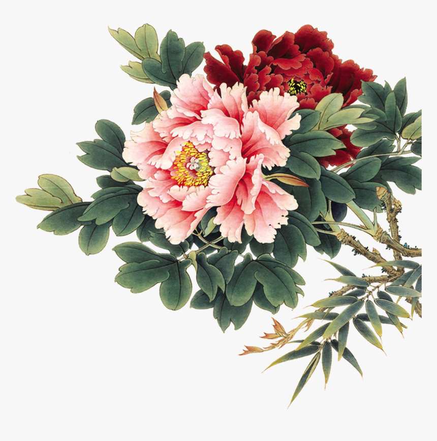 Chinese Peony Flower Painting, HD Png Download, Free Download