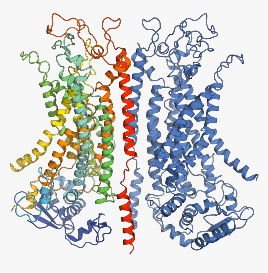 Transparent Channel Art Png - ผ Chloride Ion Channel, Png Download, Free Download