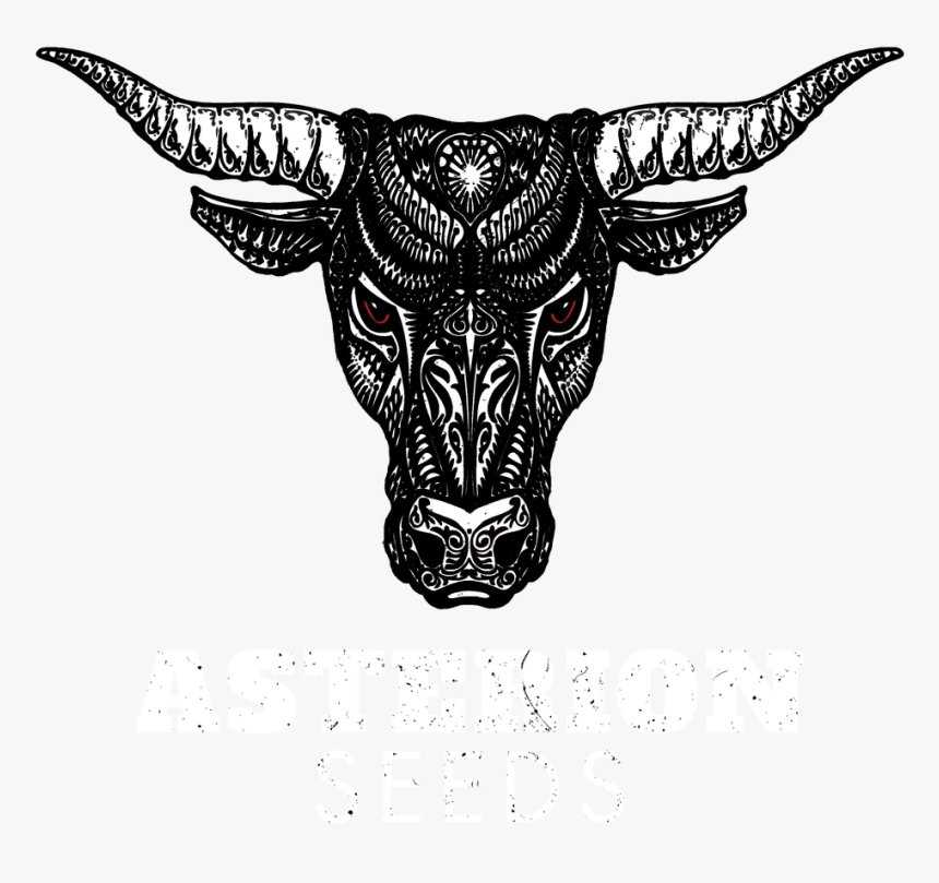 Minotaurs Drawing Head, HD Png Download, Free Download