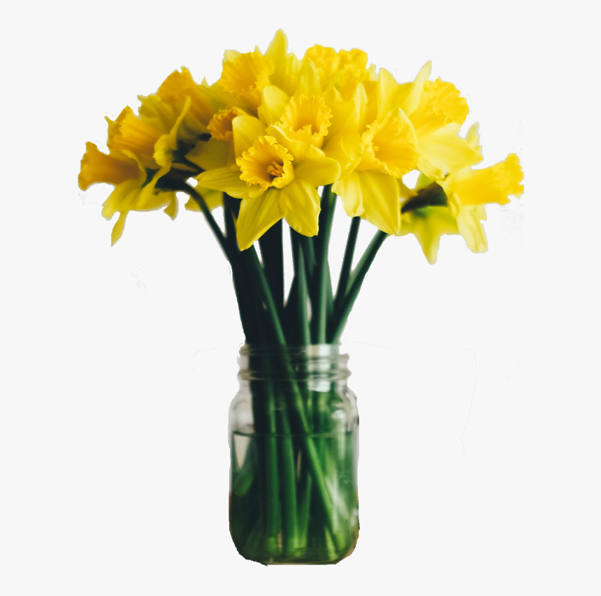 Sympathy Flowers Yellow Daffodils - Quote Happy Sunday Morning, HD Png Download, Free Download