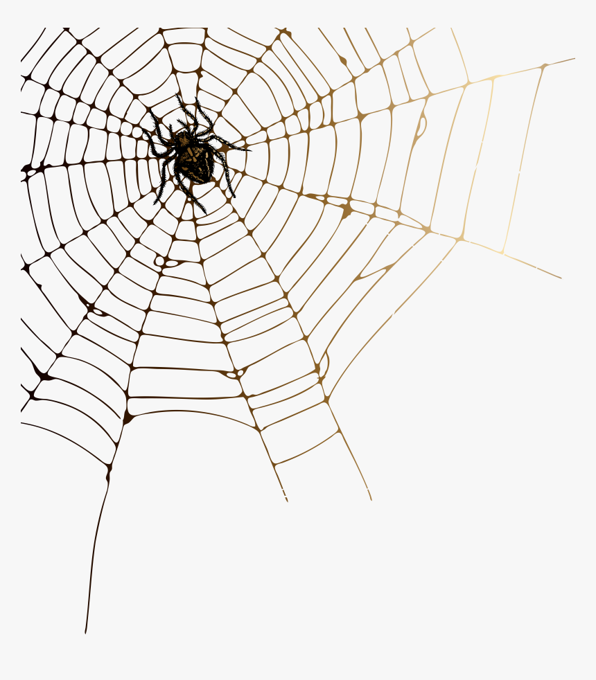Spider Man Web Png, Transparent Png, Free Download