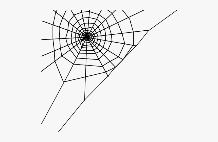 Transparent Background Spider Web Png, Png Download, Free Download