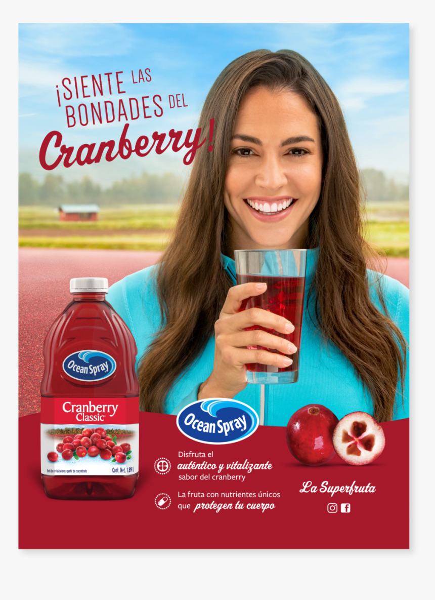 Os-01 - Ocean Spray, HD Png Download, Free Download